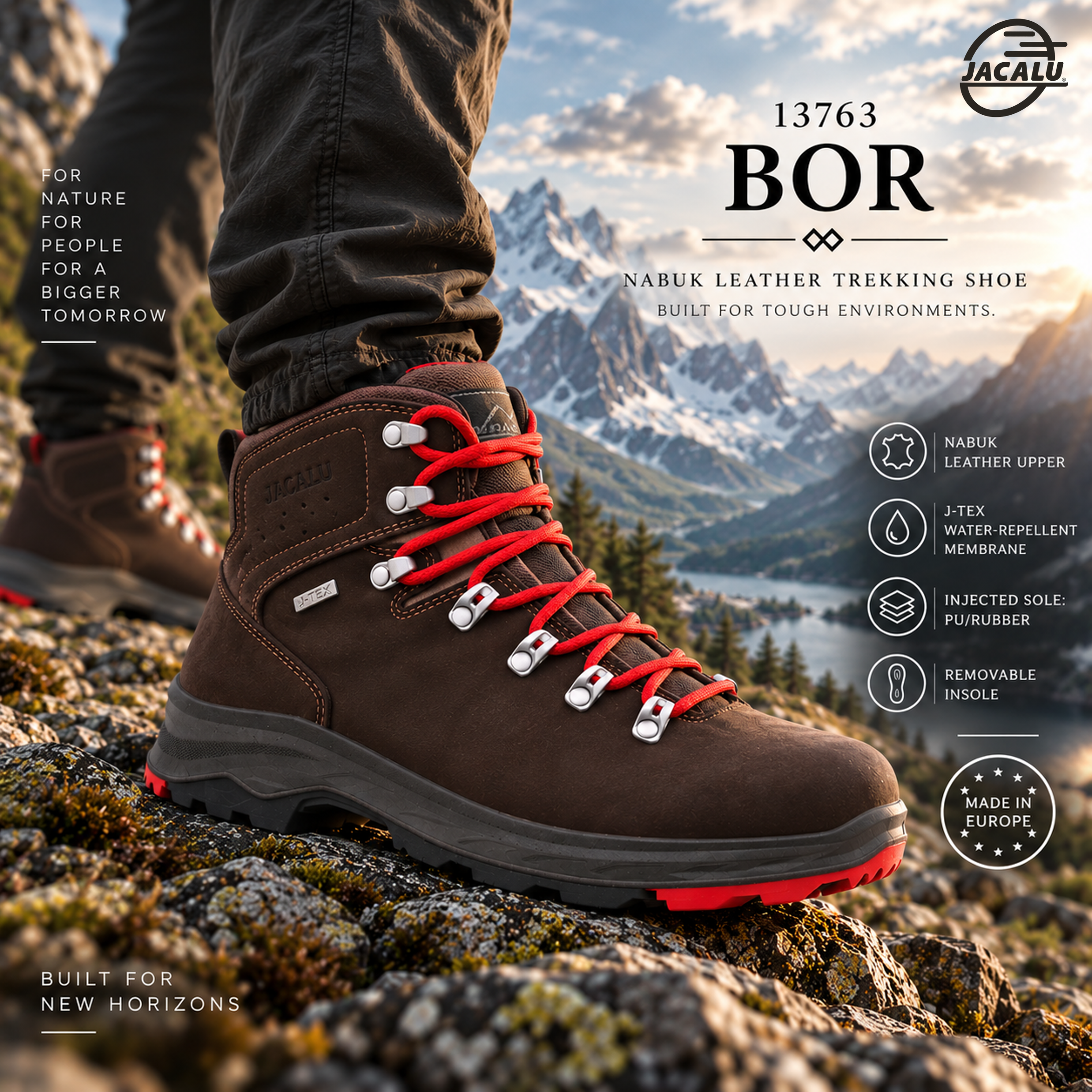 13763 BOR